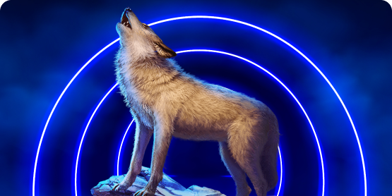 Big Fat Deal: High Roller Bonus